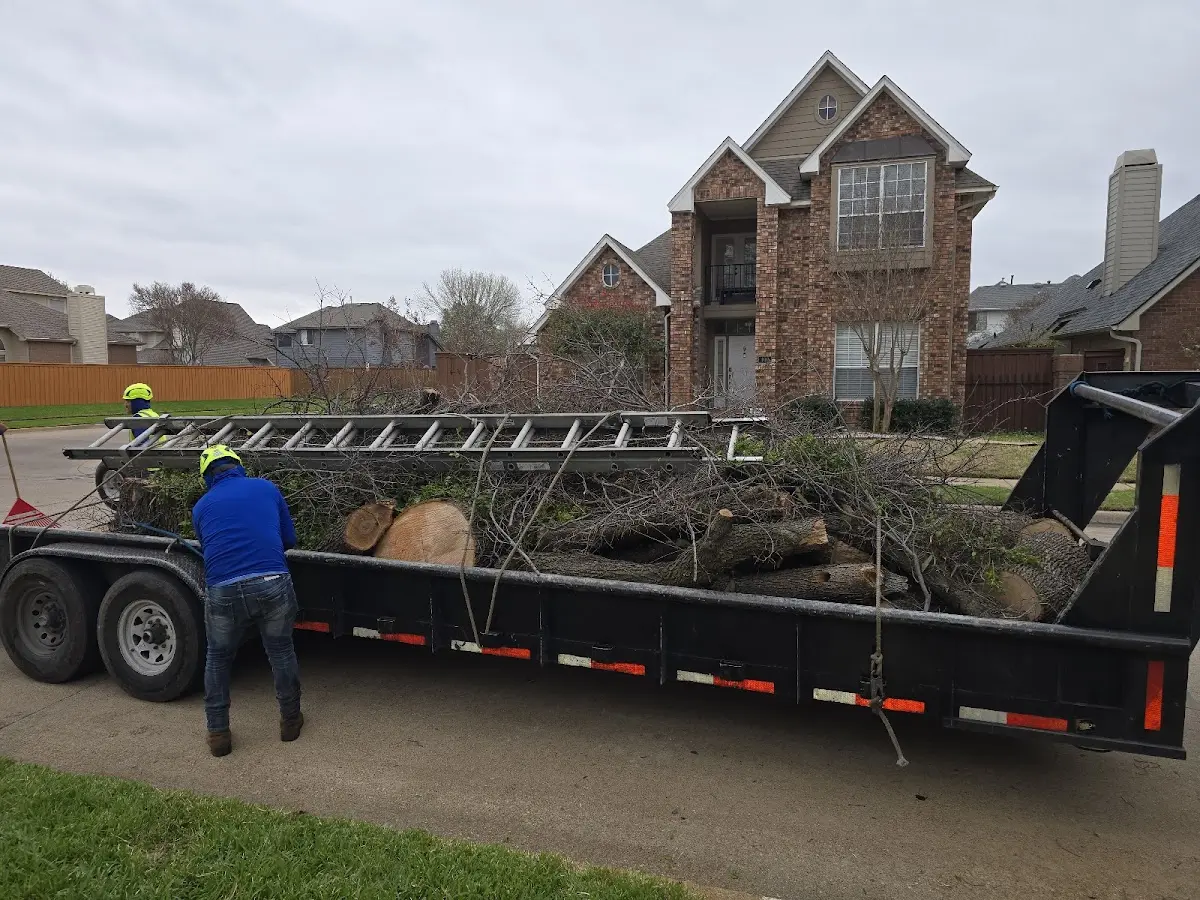 Expert Tree Fertilization with proper safety equipment in Appling